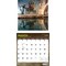 BrownTrout; Banksy's Graffiti OFFICIAL | 2027 12 x 24 Inch (Hanging) Monthly Square Wall Calendar | Plastic-Free; Category:Wall Calendars; Image:4